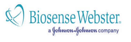 Biosense Webster Biosense Webster